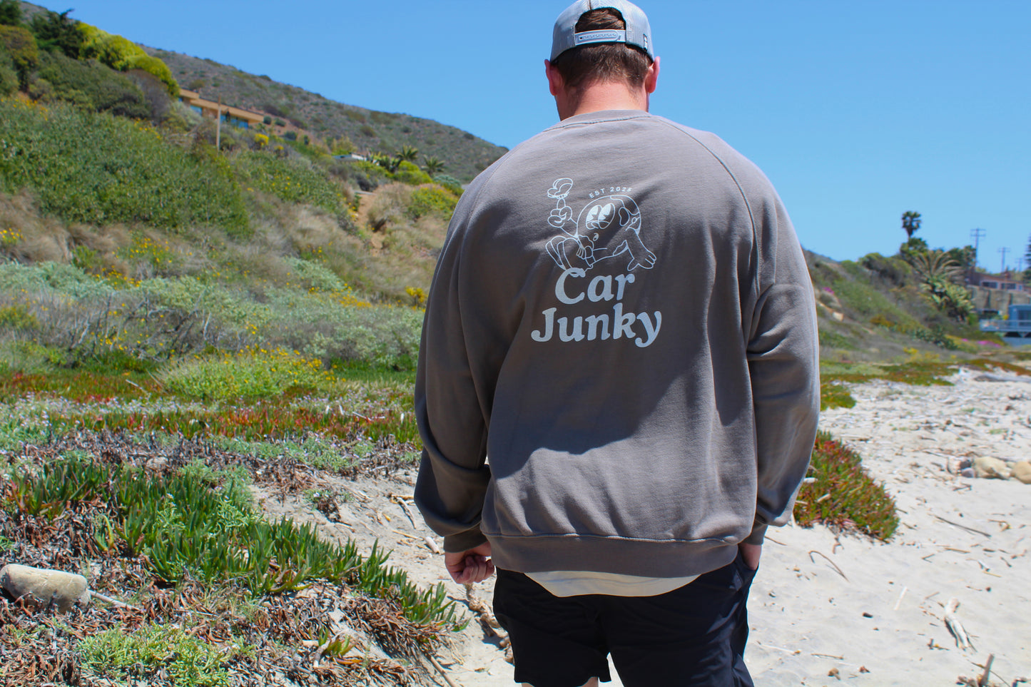 Curious Junky